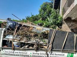 Demolition Debris Removal in Murphy, NC